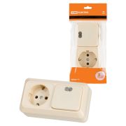 Блок комбинированный выключатель 1-кл. с подсветкой 10А + розетка 2П+З 16А 250В БКВР IP20 сл. кость «Ладога» TDM